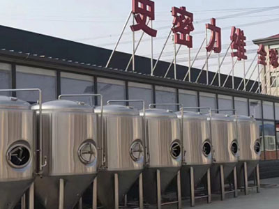 宁晋精酿啤酒设备厂—如何判断精酿啤酒设备的密封件需要更换？